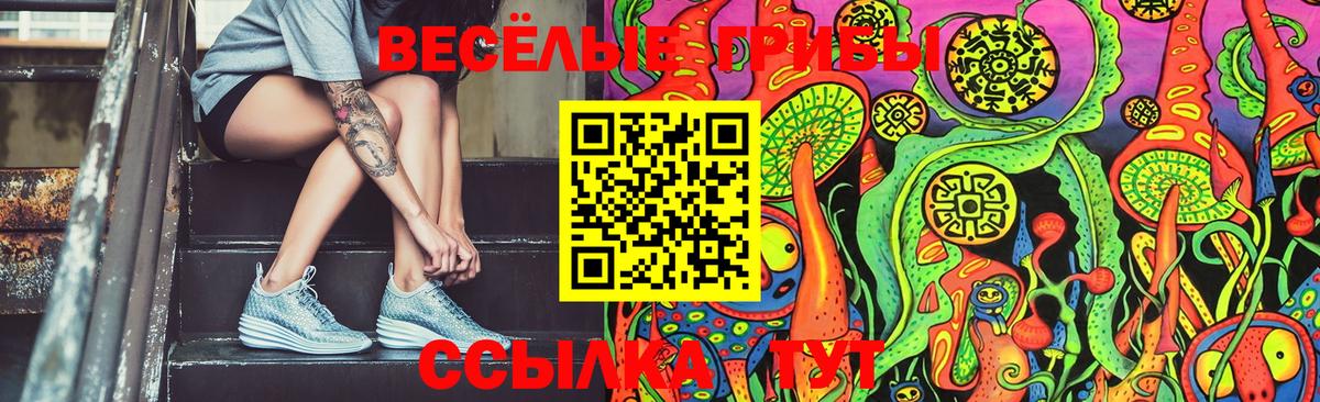 Ленинск-Кузнецкий  Псилоцибиновые грибы мицелий  Вход с VPN 