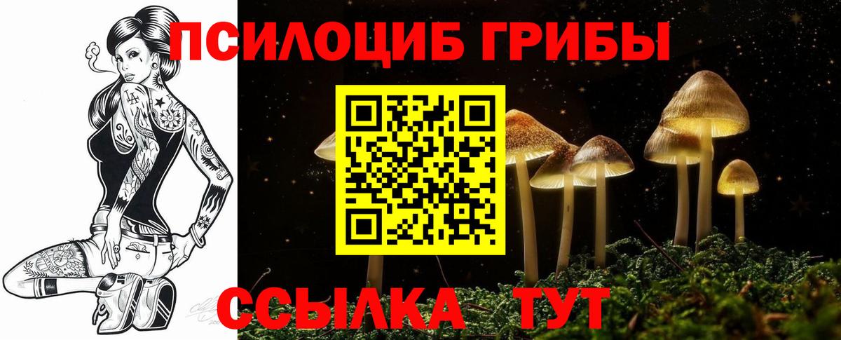 Псилоцибиновые грибы Cubensis Ленинск-Кузнецкий